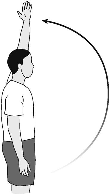 Illustration of shoulder forward elevation (active)