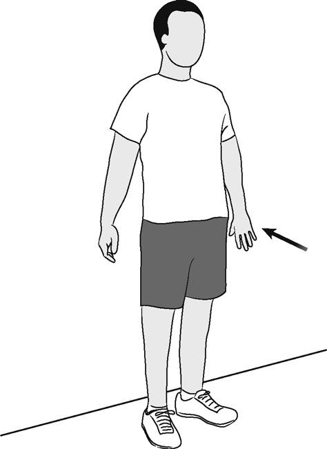 Illustration of shoulder extension (isometric)