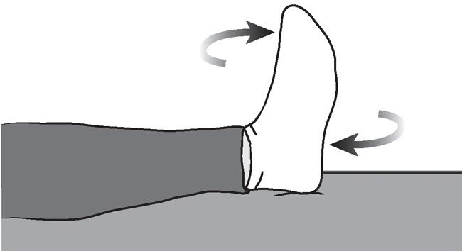 Illustration of ankle rotations